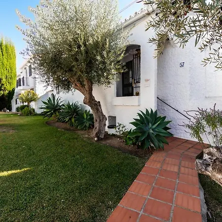 Lilas, * Nerja